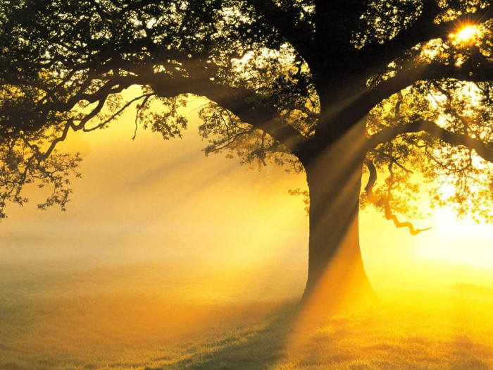 1587372019201945MwyN.jpg 圖19.jpg